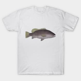 Papuan Black Bass T-Shirt